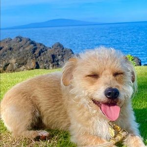 Meet your Posher, Chelsea